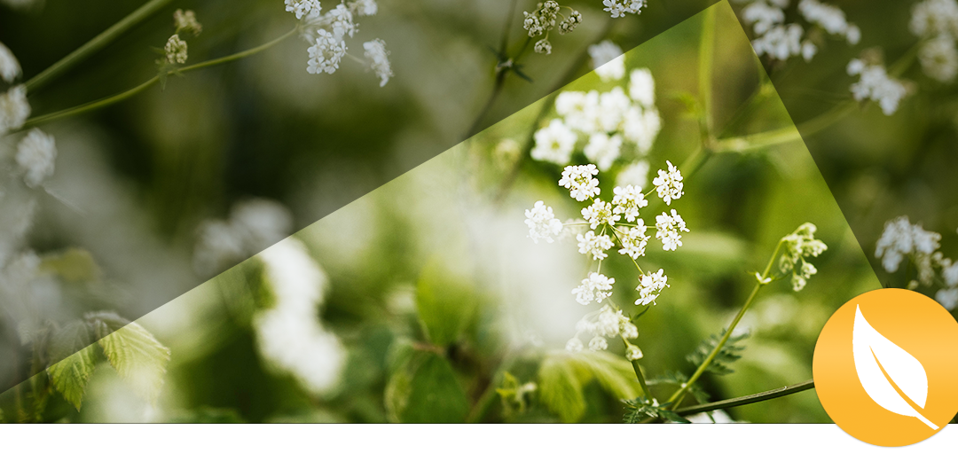 Where Is God When Your World Is Shattered?