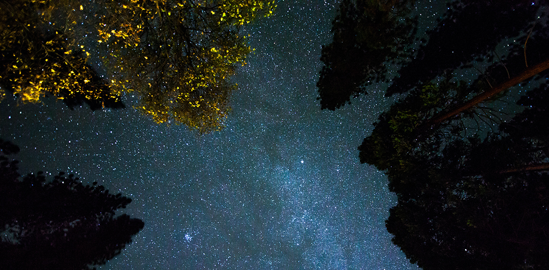 Leadership Lessons From Abram