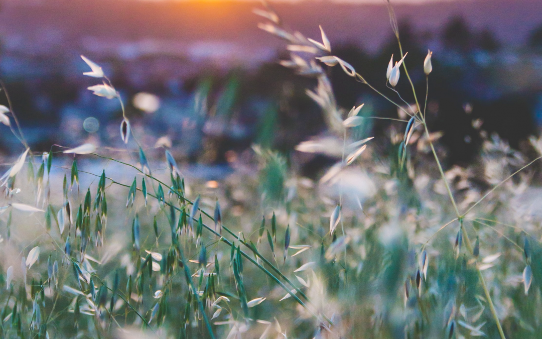 Redeeming Failed Expectations