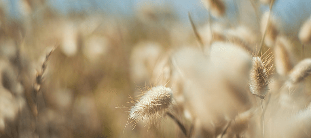 Enduring the Unexpected