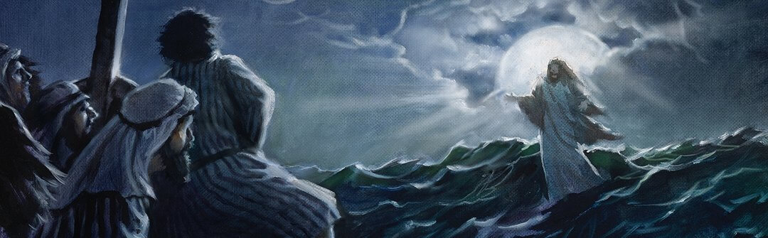 Responding to the Creator’s Creativity