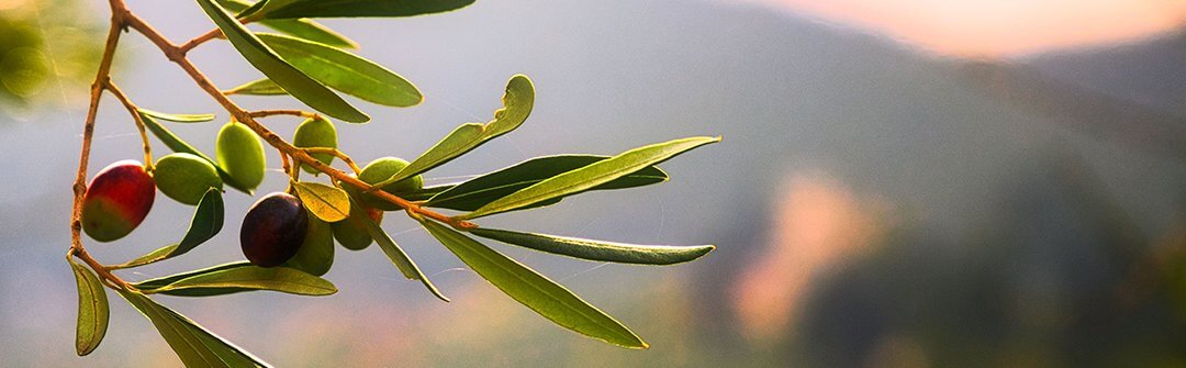 Being Available to Christ