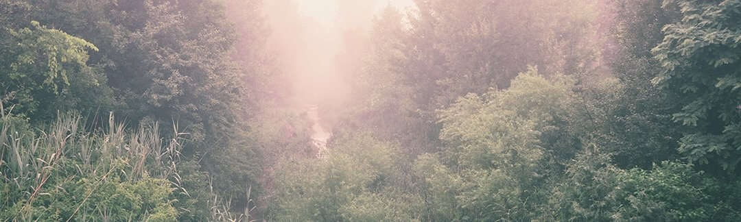 Do you notice when God interrupts?