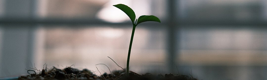 Sharing the Gospel With Family