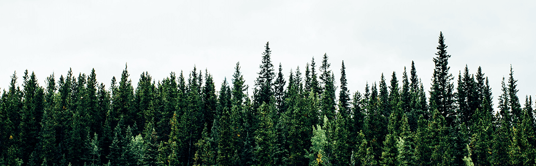 The Power of Humility