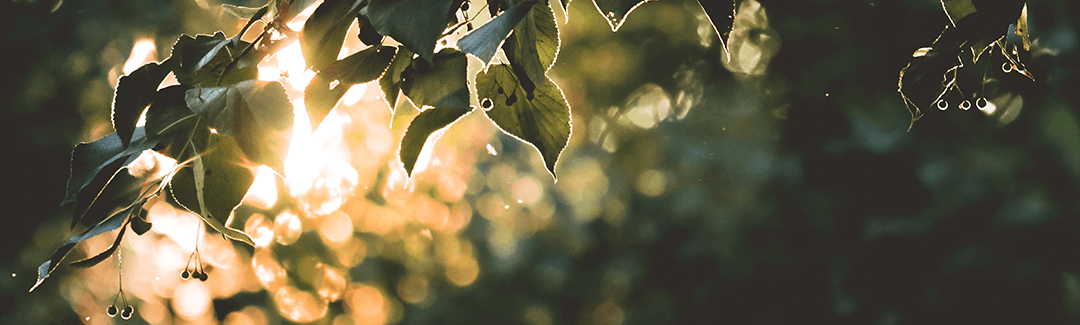 Grief, Guilt, and God’s Goodness