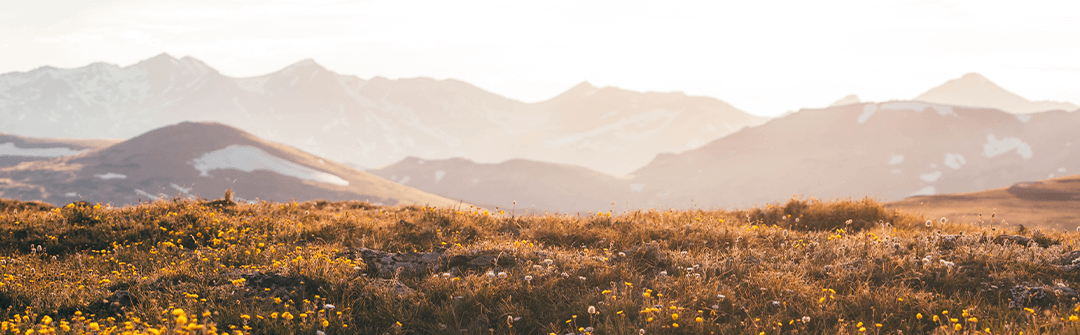 3 Reasons Not to Skip the Kings and Prophets