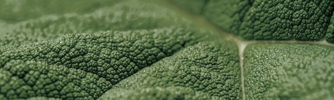 Moving Beyond I’m Sorry