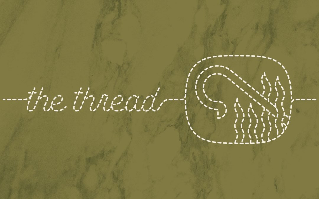 The Significance of Shepherds in the Bible