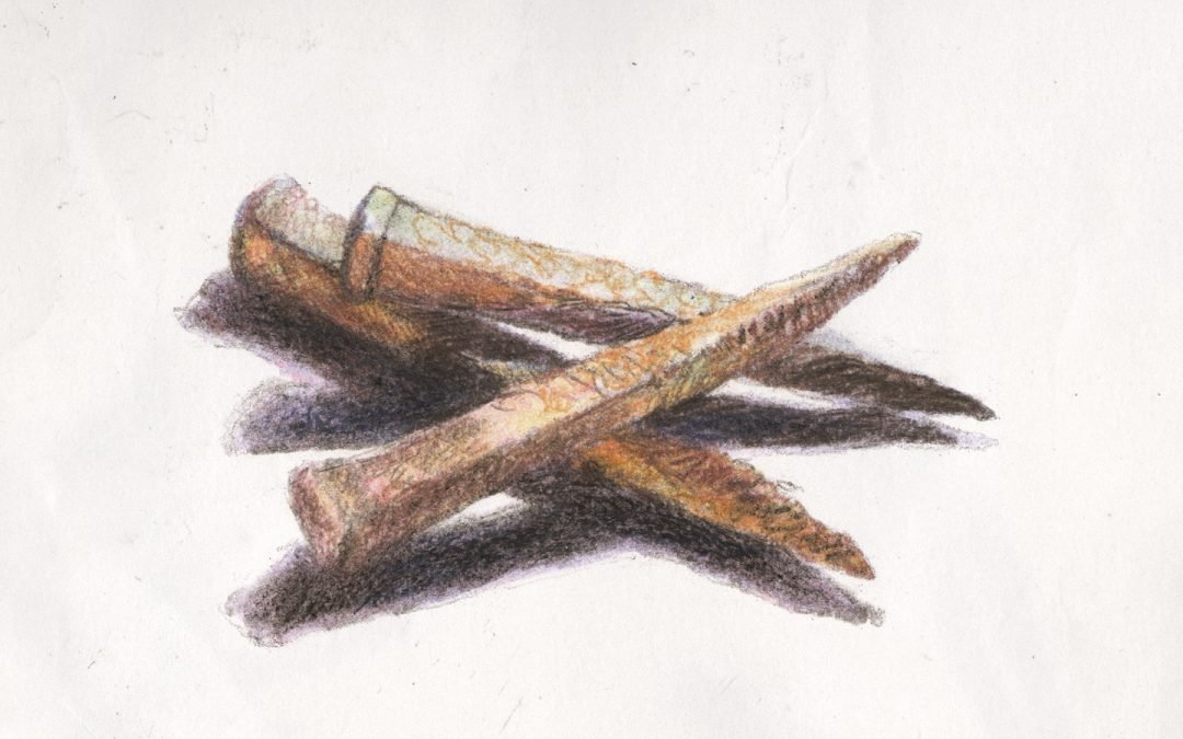 3 Lessons from a Brutal Cross