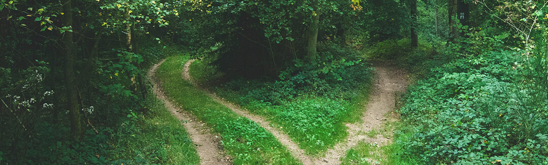 How to Test Your Decisions