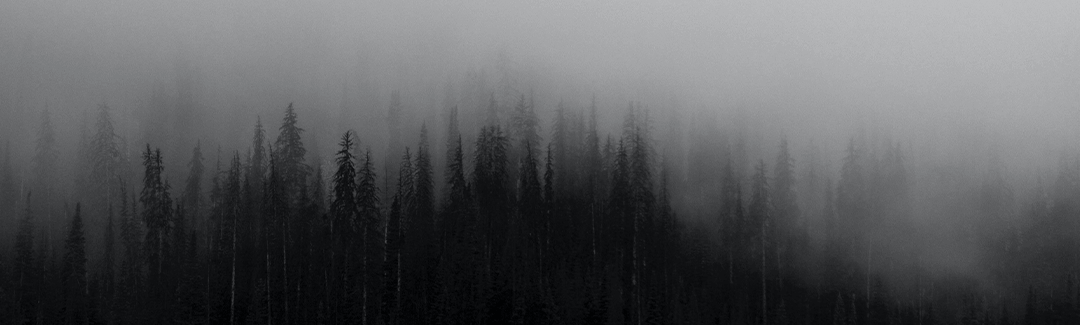 A Biblical Response to Racial Injustice